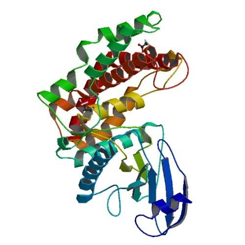  Figure: The crystal structure for N-Acetylhexosamine 1-kinase (ligand free).